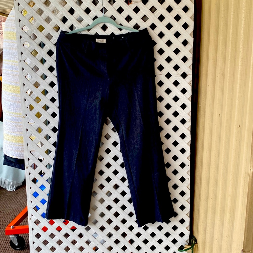 Dark gray pants. Posh brand, size 8.  Brand new. Calf- length.